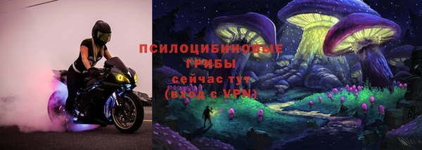 прущий лед Абаза