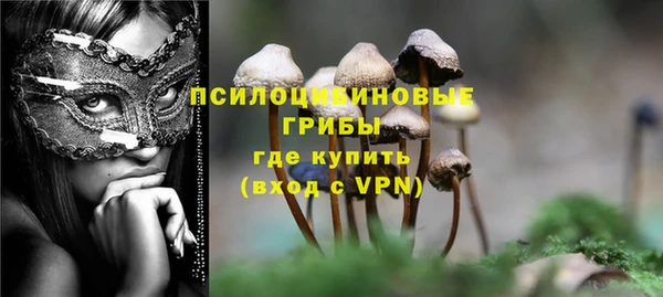 прущий лед Абаза