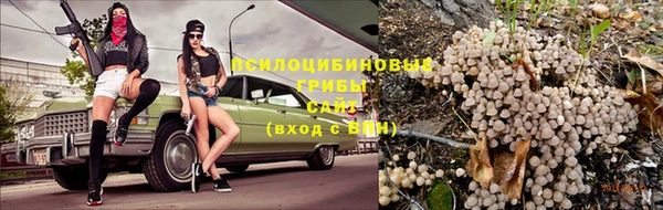 a pvp Алексин
